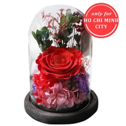 A Preserved Rose